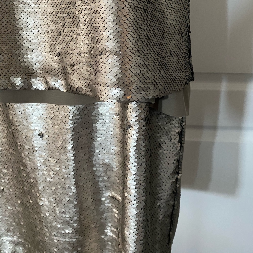 NWT Banana Republic from TJ Maxx Sequin Dress - Picture 3 of 9